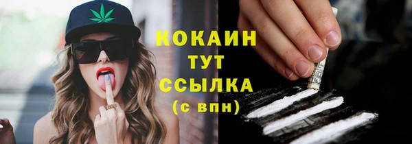 мяу мяу мука Осташков