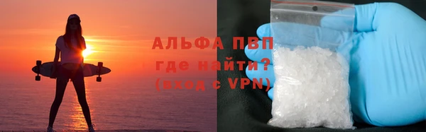 эйфоретик Осинники
