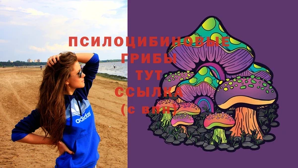 эйфоретик Осинники