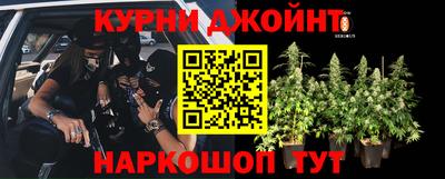 скорость Заводоуковск
