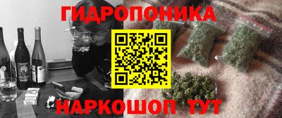 скорость Заводоуковск