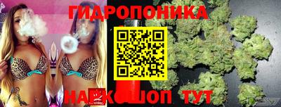 крисы Заволжье