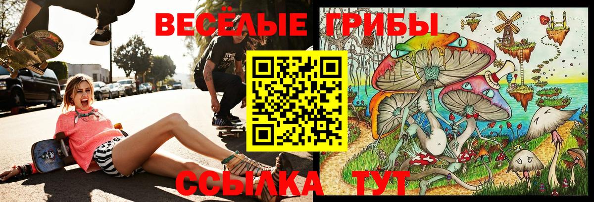 Галлюциногенные грибы Psilocybine cubensis  Галлюциногенные грибы Psilocybine cubensis  Вход с VPN  Химки 